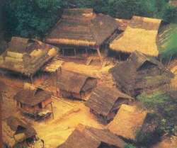Vietnamese houses